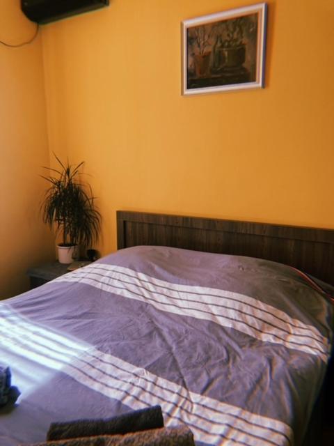 Home Away Home In Heart Of Tbilisi Buitenkant foto
